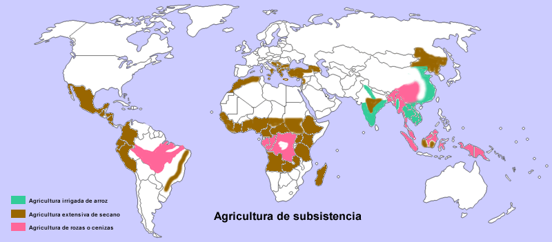 Agricultura de subsistencia