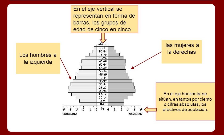 Elementos pirmide de poblacin