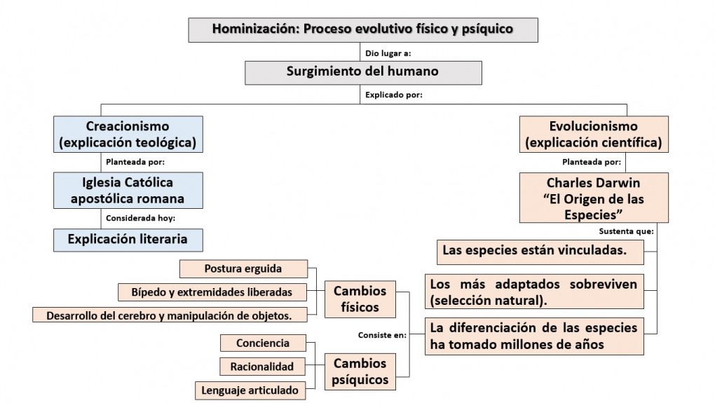 Hominizacin