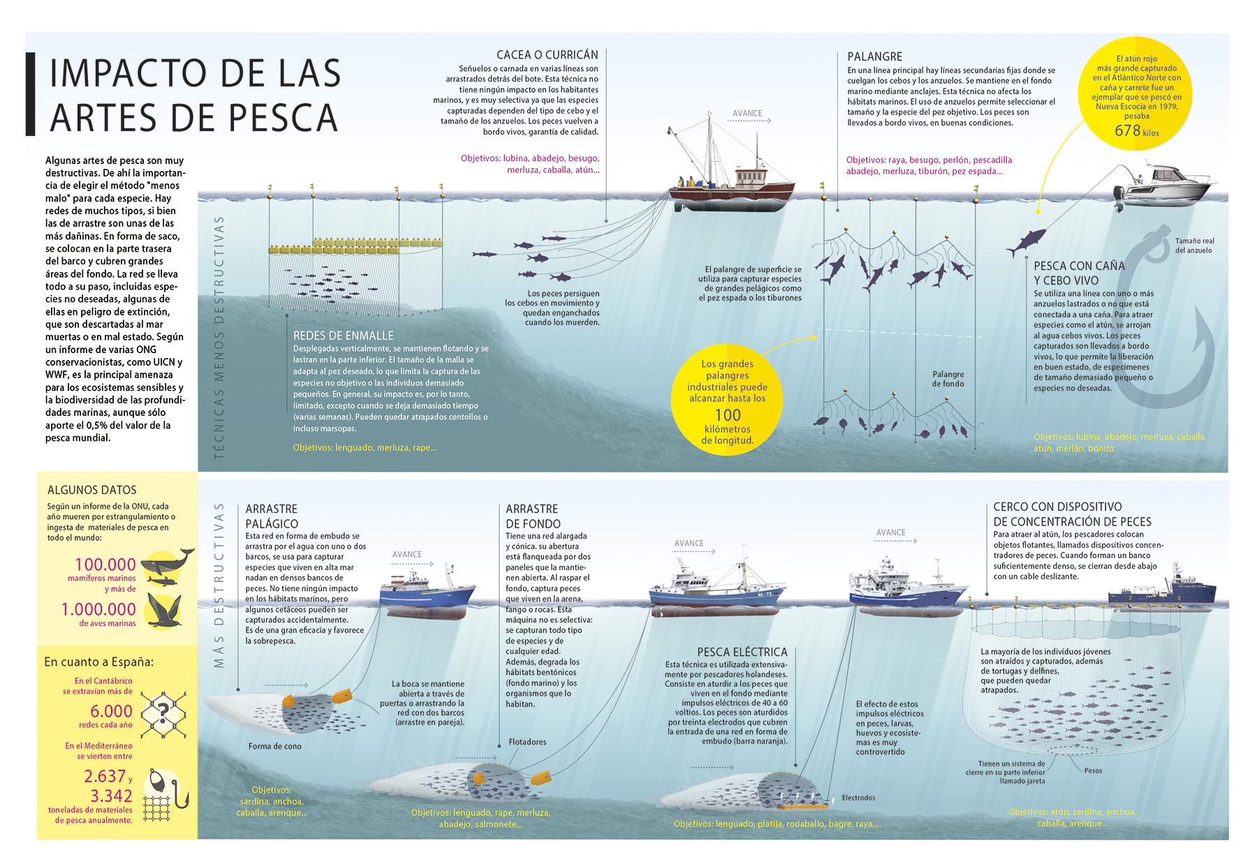 Impacto artes de pesca