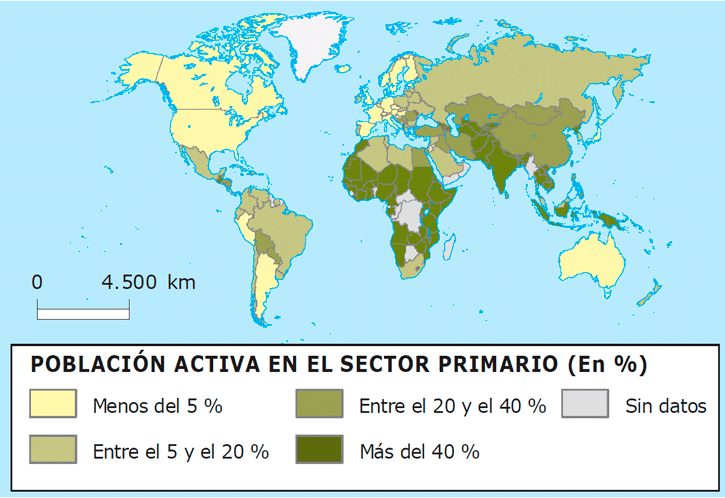 Sector primario