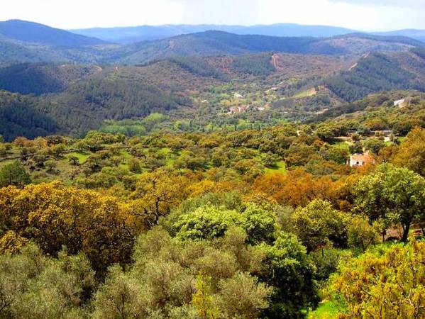 Sierra de Aracena