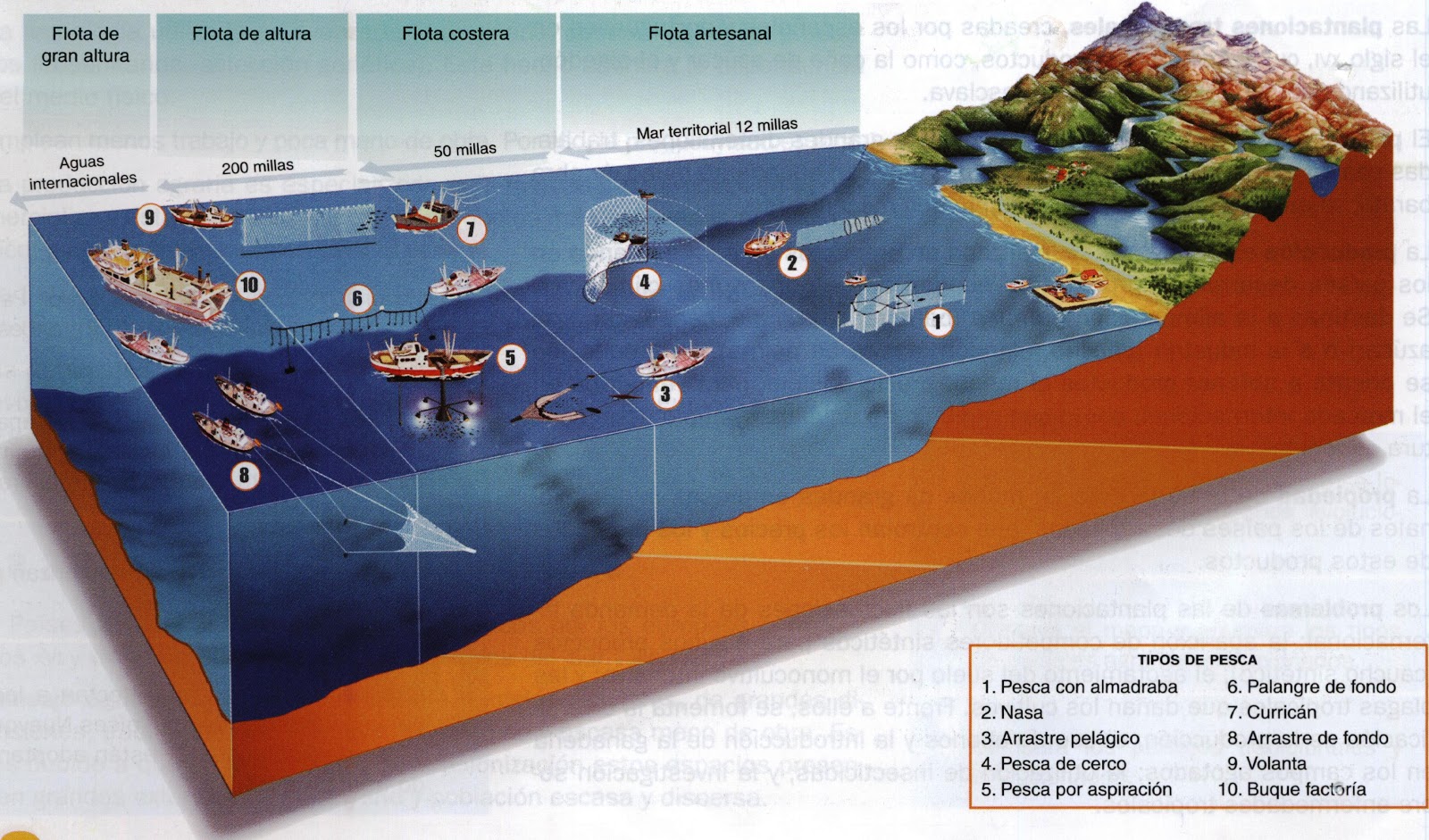 Tipos de pesca