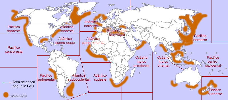 Zonas pesqueras y caladeros