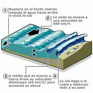 Tsunami