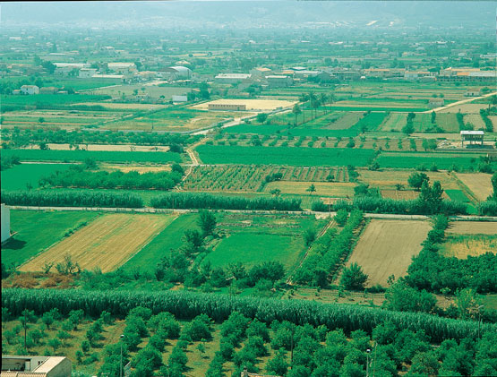 Huerta Valencia